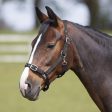 Bitz Everyday Adjustable Headcollar Black Pony Hot on Sale