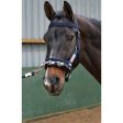 Whitaker Lunge Cavesson Navy Cob Full Discount