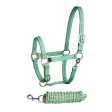 Bitz Stripe Two Tone Headcollar Lead Rope Aqua Lime Cob Cheap