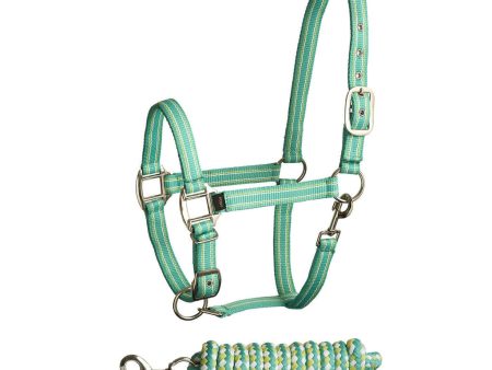 Bitz Stripe Two Tone Headcollar Lead Rope Aqua Lime Cob Cheap