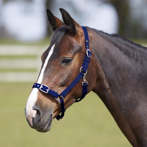 Bitz Everyday Adjustable Headcollar Navy Pony Cheap