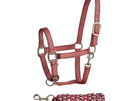 Bitz Stripe Two Tone Headcollar Lead Rope Pink Navy Pony Online now