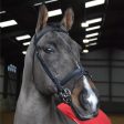 Whitaker Ready To Ride Snaffle Bridle Cob Black Online Hot Sale