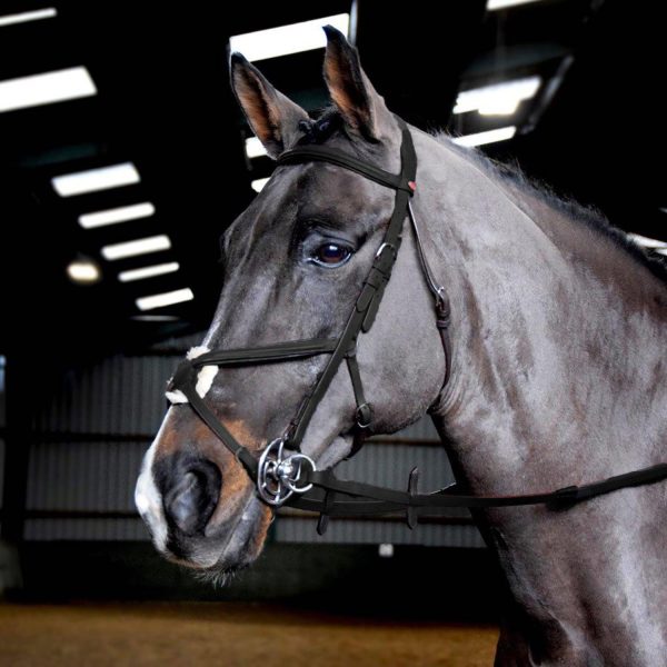 Whitaker Ready To Ride Mexican Bridle Pony Black Sale