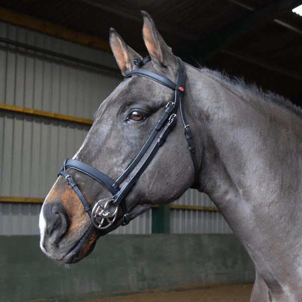 Whitaker Ready To Ride Snaffle Bridle Full Black Online Hot Sale