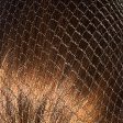 Bitz Hairnets Standard Twin Pack Light Brown Hot on Sale