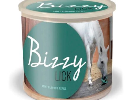 Bizzy Horse Refill 1Kg Mint Discount