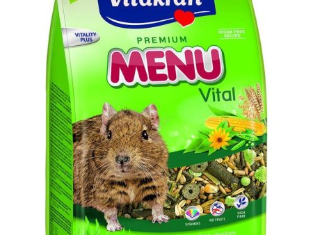 Vitakraft Degu Food, 600g Online Sale