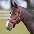 Bitz Everyday Adjustable Headcollar Pink Full For Sale