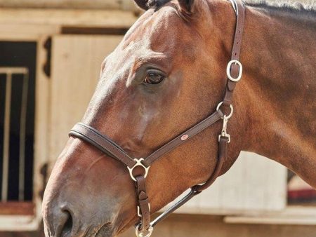 Whitaker Ready To Ride Leather Headcollar Havana Full For Cheap