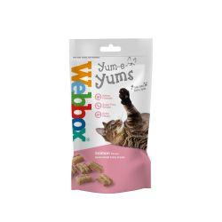 Webbox Cat Yum-e-yums Salmon 40g on Sale