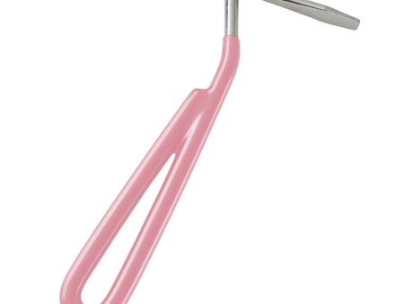 Bitz Hoof Pick Metal Pink on Sale