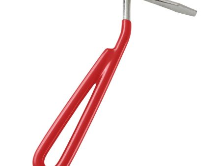 Bitz Hoof Pick Metal Red Fashion