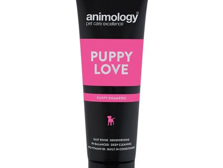 Animology Puppy Love Shampoo, 250ml Online now