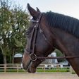 Whitaker Ready To Ride Snaffle Bridle Cob Havana Fashion