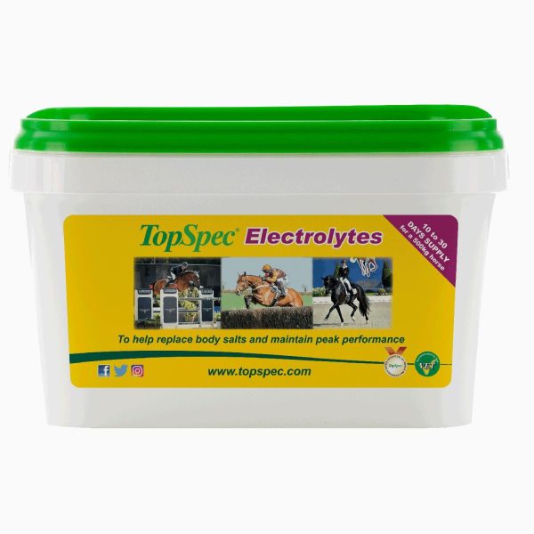 Topspec Electrolytes 1.5Kg Sale