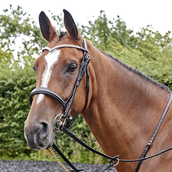 Whitaker Lynton Snaffle Bridle C W Spare Browband Havana Cob Fashion