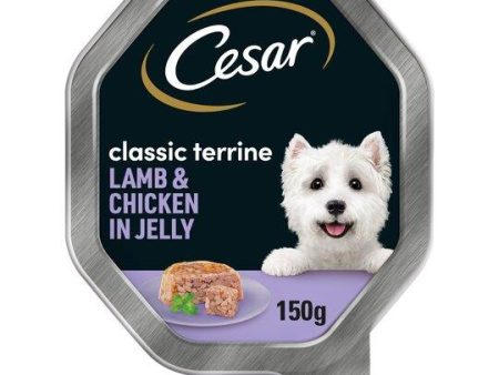 CESAR Classic Terrine with Juicy Lamb and Chicken in Jelly 150g x 14 Online