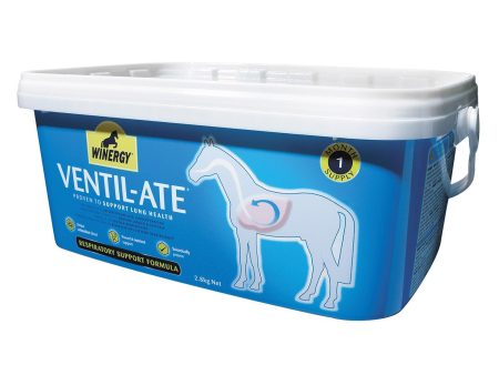 Winergy Ventil-Ate 2.8Kg on Sale