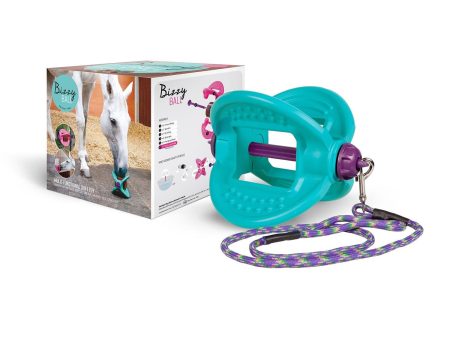 Bizzy Horse Ball Aqua Online Sale