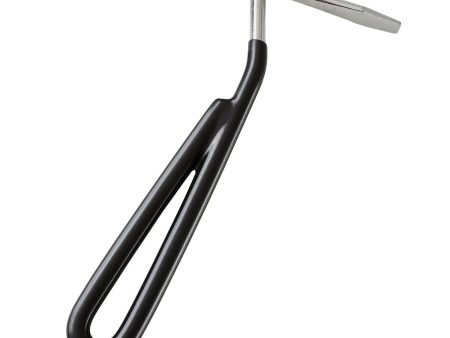 Bitz Hoof Pick Metal Black Cheap